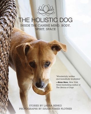 The Holistic Dog 1