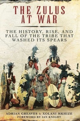 bokomslag Zulus at War