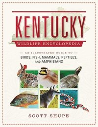 bokomslag Kentucky Wildlife Encyclopedia