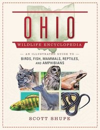 bokomslag Ohio Wildlife Encyclopedia