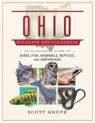 bokomslag Ohio Wildlife Encyclopedia