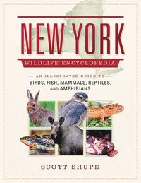 bokomslag New York Wildlife Encyclopedia