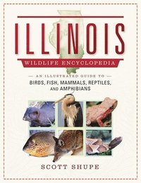 bokomslag Illinois Wildlife Encyclopedia