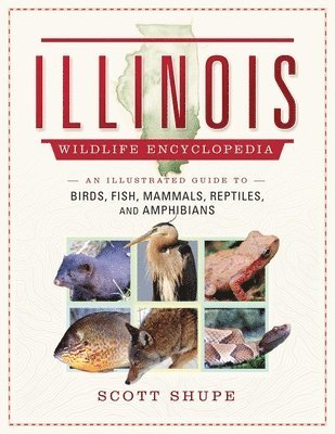 bokomslag Illinois Wildlife Encyclopedia