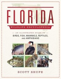 bokomslag Florida Wildlife Encyclopedia