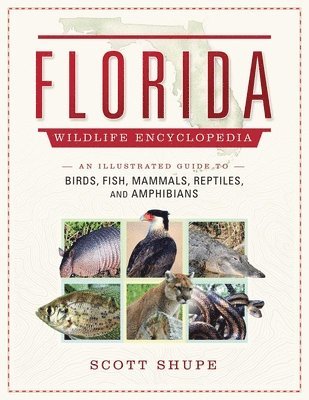 bokomslag Florida Wildlife Encyclopedia