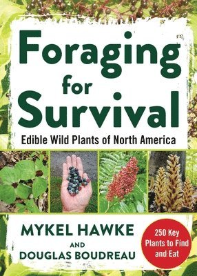 bokomslag Foraging for Survival