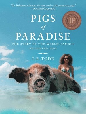 Pigs of Paradise 1