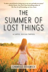 bokomslag The Summer of Lost Things: Volume 4