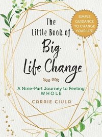 bokomslag The Little Book of Big Life Change