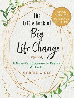 The Little Book of Big Life Change 1