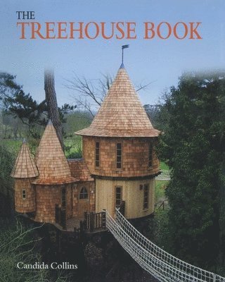 The Treehouse Book 1