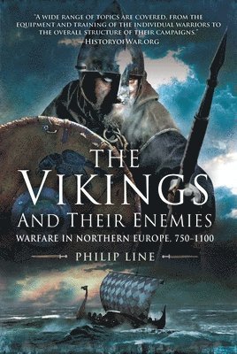 bokomslag The Vikings and Their Enemies: Warfare in Northern Europe, 750-1100