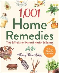 bokomslag 1,001 Home Remedies