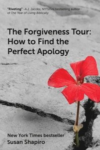 bokomslag The Forgiveness Tour: How to Find the Perfect Apology