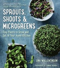 bokomslag Sprouts, Shoots & Microgreens