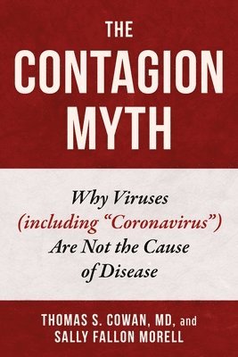 The Contagion Myth 1