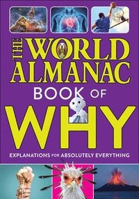 bokomslag The World Almanac Book of Why: Explanations for Absolutely Everything