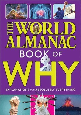 World Almanac Kids™, World Almanac Kids(tm) - World Almanac Book of Why: Explanations for Absolutely Everything, Inbunden