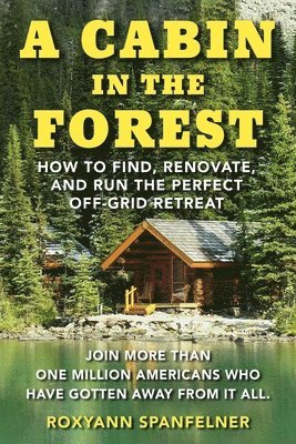bokomslag Cabin in the Forest