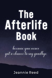 bokomslag Afterlife Book
