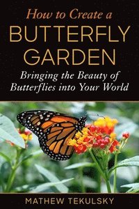 bokomslag How to Create a Butterfly Garden