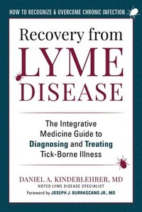 bokomslag Recovery from Lyme Disease