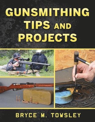 bokomslag Gunsmithing Tips and Projects