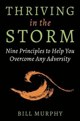 bokomslag Thriving in the Storm: 9 Principles to Help You Overcome Any Adversity