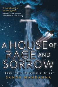 bokomslag A House of Rage and Sorrow: Volume 2