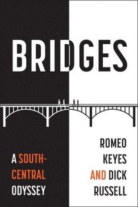 bokomslag Bridges