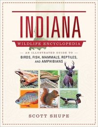 bokomslag Indiana Wildlife Encyclopedia: An Illustrated Guide to Birds, Fish, Mammals, Reptiles, and Amphibians