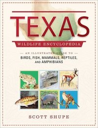 bokomslag Texas Wildlife Encyclopedia