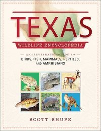 bokomslag Texas Wildlife Encyclopedia: An Illustrated Guide to Birds, Fish, Mammals, Reptiles, and Amphibians