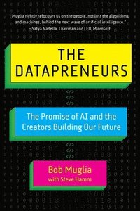 bokomslag The Datapreneurs