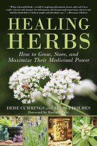 bokomslag Healing Herbs