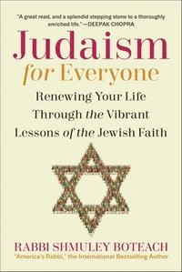 bokomslag Judaism for Everyone