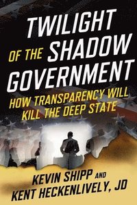 bokomslag Twilight of the Shadow Government