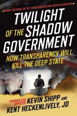 bokomslag Twilight of the Shadow Government