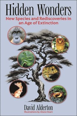 bokomslag New Animals of the 21st Century: Extraordinary Discoveries and Rediscoveries in a Changing World