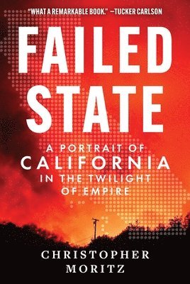 bokomslag Failed State