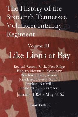 bokomslag The History of the Sixteenth Tennessee Volunteer Infantry Regiment: Like Lions at Bay