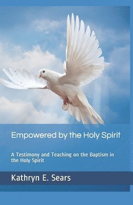 bokomslag Empowered by the Holy Spirit: A Testimony and Teaching on the Baptism in the Holy Spirit