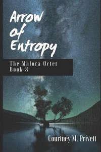bokomslag Arrow of Entropy