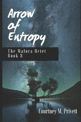 Arrow of Entropy 1