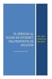 bokomslag El Derecho al Olvido en Internet: Del caso Google al Big Data