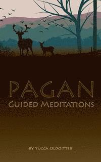 bokomslag Pagan Guided Meditations