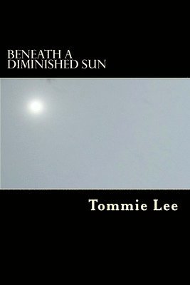 Beneath A Diminished Sun 1