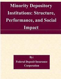 bokomslag Minority Depository Institutions: Structure, Performance, and Social Impact