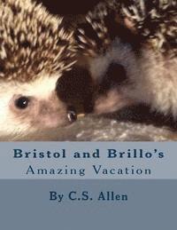 bokomslag Bristol and Brillo's Amazing Vacation: The Hedgehog Sisters